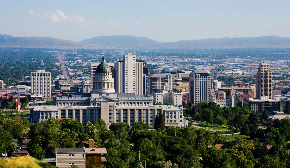 Self-Management vs. Professional Property Management: A Comprehensive Guide